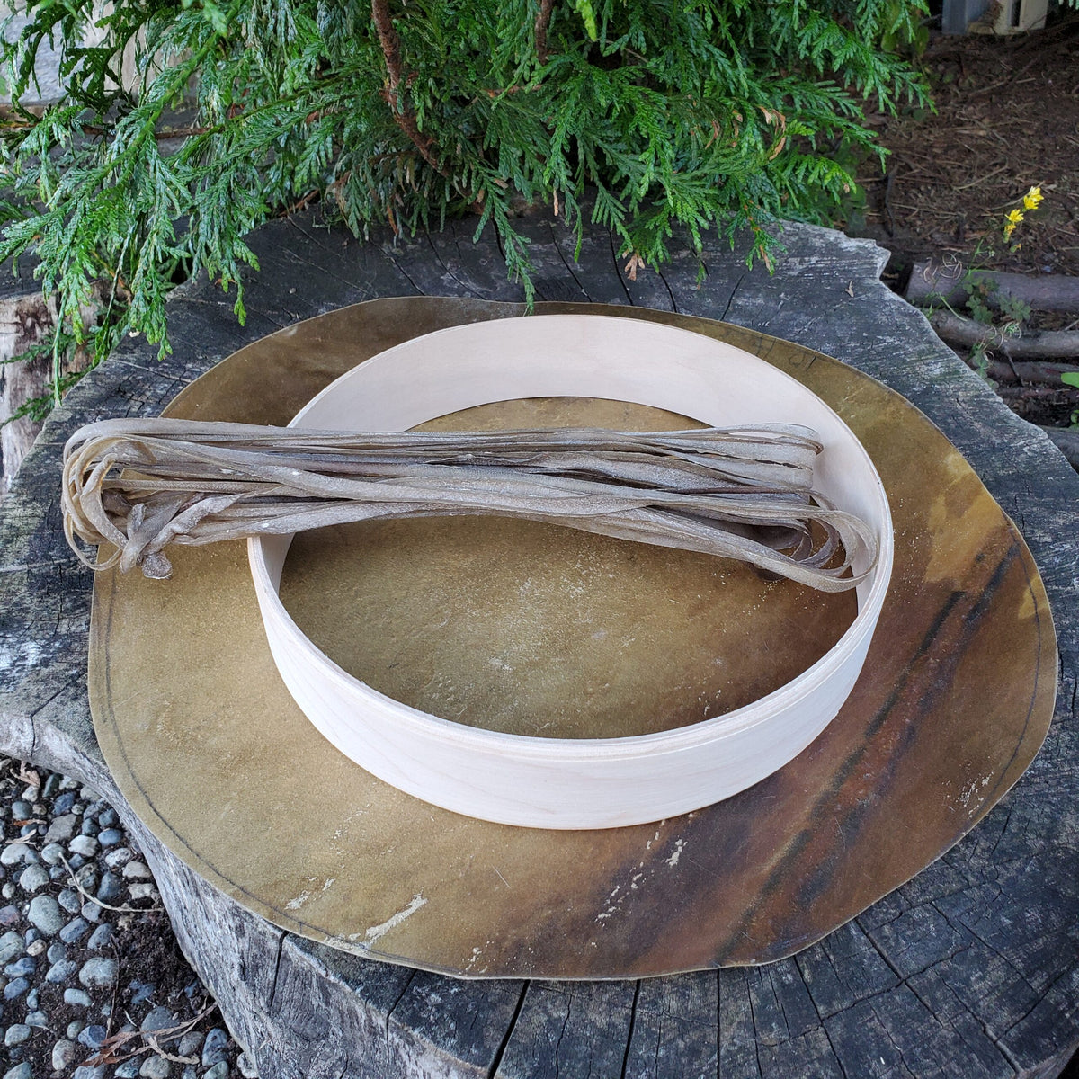 10″ (25cm) Hand Drum Kit