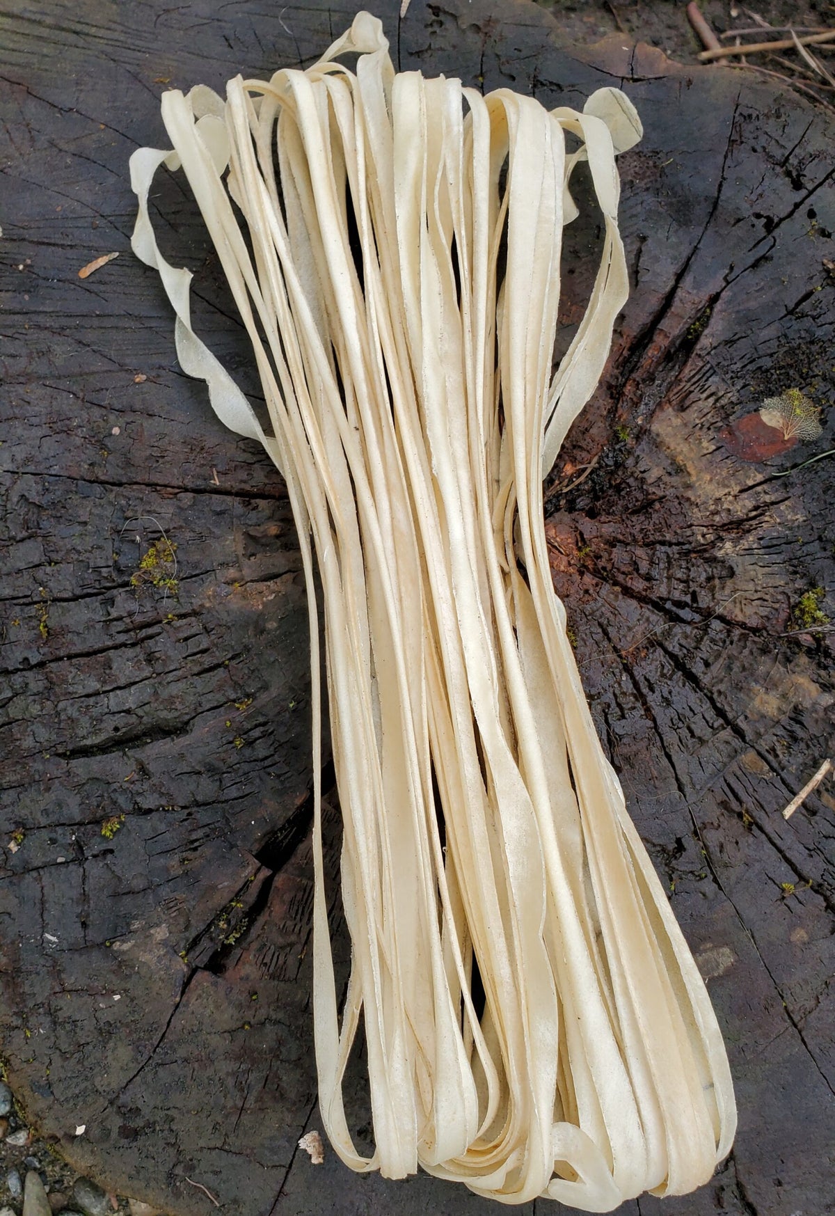 1/4″ (6mm) Bison Rawhide Lacing, 30′ (9.1m)